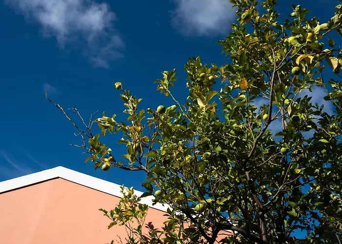 Hotel Mounda Retreat Skala (Kefalonia)